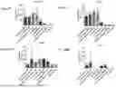 Fig. 63 - Blood Preparation and Profiling
