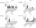 Fig. 65 - Blood Preparation and Profiling