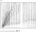 Fig. 07 - Method to Generate Seismic S Waves and Love Waves Using Inclined Explosive Charges
