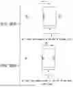 Fig. 49 - APPARATUS AND METHOD FOR AGRICULTURAL DATA COLLECTION AND AGRICULTURAL OPERATIONS