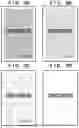 Fig. 07 - IMAGE FORMING SYSTEM FOR INSPECTING AN IMAGE FORMED ON A SHEET BASED ON AN IMAGE EDITING PROCESS INTENSITY