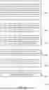 Fig. 11 - DECLARATIVE DATABASE VIRTUALIZATION FOR FEDERATED APPLICATION PROGRAMMING INTERFACE