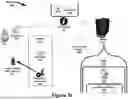 Fig. 09 - SYSTEM AND METHOD FOR DISPENSING A CUSTOMIZED NUTRACEUTICAL PRODUCT