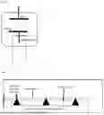 Fig. 02 - CARBON NANOTUBE BASED COLD CATHODES FOR X-RAY GENERATION