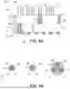 Fig. 07 - THERMAL MANAGEMENT OF BASE DIES IN MULTICHIP COMPOSITE DEVICES