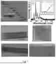 Fig. 02 - METHOD FOR RELAXING SEMICONDUCTOR FILMS INCLUDING THE FABRICATION OF PSEUDO-SUBSTRATES AND FORMATION OF COMPOSITES ALLOWING THE ADDITION OF PREVIOUSLY UN-ACCESSIBLE FUNCTIONALITY OF GROUP lll-NITRIDES