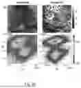 Fig. 99 - METHOD FOR RELAXING SEMICONDUCTOR FILMS INCLUDING THE FABRICATION OF PSEUDO-SUBSTRATES AND FORMATION OF COMPOSITES ALLOWING THE ADDITION OF PREVIOUSLY UN-ACCESSIBLE FUNCTIONALITY OF GROUP lll-NITRIDES