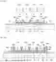 Fig. 09 - METHOD OF MANUFACTURING WAVELENGTH CONVERTING MEMBER AND METHOD OF MANUFACTURING LIGHT EMITTING DEVICE