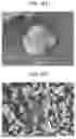 Fig. 04 - POSITIVE ACTIVE MATERIAL FOR RECHARGEABLE LITHIUM BATTERY, METHOD OF PREPARING SAME, AND RECHARGEABLE LITHIUM BATTERY INCLUDING SAME