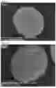 Fig. 06 - Precursor particle for preparation of cathode active material for secondary battery and novel precursor powder containing same