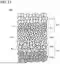Fig. 22 - POSITIVE ELECTRODE ACTIVE MATERIAL AND SECONDARY BATTERY