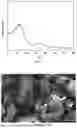 Fig. 02 - PREPARATION METHOD OF HARD CARBON ANODE MATERIAL AND USE THEREOF