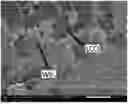 Fig. 01 - ELECTRODE, METHOD FOR PRODUCING SAME, AND BATTERY
