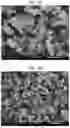 Fig. 02 - ELECTRODE, METHOD FOR PRODUCING SAME, AND BATTERY