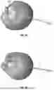 Fig. 04 - Cellular antenna architectures for AR capable wearable devices
