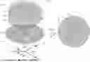 Fig. 01 - Pattern reconfigurable antenna
