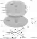 Fig. 02 - Pattern reconfigurable antenna
