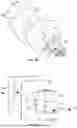 Fig. 07 - L-TYPE ELECTRICAL OUTLET HOUSING AND MOUNTING KIT