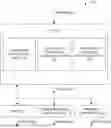 Fig. 01 - Mobile telecommunications network access point configuration and fiber routing configuration for customer premises equipment