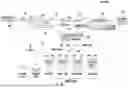 Fig. 02 - Compression and decompression between elements of a wireless communications system (WCS)
