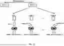 Fig. 15 - Multicast broadcast service continuity in connected state