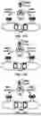 Fig. 18 - Multicast broadcast service continuity in connected state