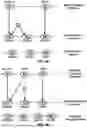Fig. 06 - Base Station Backhaul Link Information