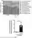 Fig. 22 - CLOSTRODIOIDES DIFFICILE TREATMENT