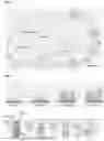 Fig. 09 - COMPOSITIONS COMPRISING PROPIONIBACTERIUM ACNES BACTERIOPHAGES FOR TREATING ACNE