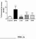 Fig. 06 - ARTOCARPUS HETEROPHYLLUS COMPOSITION AND METHOD OF PROMOTING URINARY TRACT HEALTH