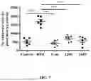 Fig. 07 - ARTOCARPUS HETEROPHYLLUS COMPOSITION AND METHOD OF PROMOTING URINARY TRACT HEALTH