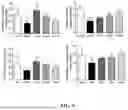 Fig. 09 - ARTOCARPUS HETEROPHYLLUS COMPOSITION AND METHOD OF PROMOTING URINARY TRACT HEALTH
