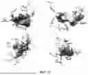 Fig. 12 - ARTOCARPUS HETEROPHYLLUS COMPOSITION AND METHOD OF PROMOTING URINARY TRACT HEALTH