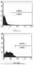 Fig. 08 - USE OF PLANT-DERIVED EXOSOMES FOR INDUCING DIFFERENTIATION OF STEM CELL SOURCES INTO CARTILAGE AND BONE CELLS