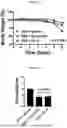 Fig. 07 - PROTEINS FOR THE TREATMENT OF EPITHELIAL BARRIER FUNCTION DISORDERS