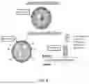 Fig. 06 - PROCESS FOR PREPARING EXTRACELLULAR VESICLES