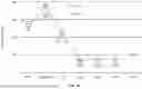 Fig. 07 - PROCESS FOR PREPARING EXTRACELLULAR VESICLES