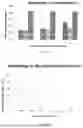 Fig. 02 - FUNCTIONALIZED NANOPARTICLES HAVING ENCAPSULATED GUEST CARGO AND METHODS FOR MAKING THE SAME