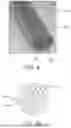 Fig. 07 - Metal Supported Powder Catalyst Matrix and Processes for Multiphase Chemical Reactions