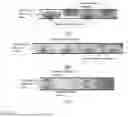 Fig. 08 - Device and method for large-scale flow solidification treatment of dredged sediment in pipeline without yard