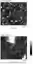 Fig. 07 - AQUEOUS TREATING MEDIUM AND METHODS FOR TREATING GLASS ARTICLES WITH THE SAME