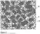 Fig. 03 - MANUFACTURING COMPOSITE ELECTROCERAMICS USING WASTE ELECTROCERAMICS