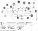 Fig. 09 - Compositions and methods for treating cancer