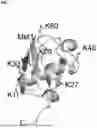 Fig. 02 - Compositions and methods for using engineered deubiquitinases for probing ubiquitin-dependent cellular processes