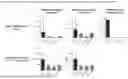 Fig. 22 - Oligonucleotide for reducing the expression of angiotensin-converting enzyme 2 (ACE2) and its use for treating viral infection