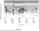 Fig. 02 - METHODS TO PREDICT EFFECTS OF PERIOPERATIVE ADMINISTRATION OF METHADONE TO OPTIMIZE PAIN RELIEF AND AVOID ADVERSE EFFECTS