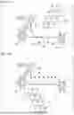 Fig. 05 - NUCLEIC ACID FRAGMENT AND USE THEREOF