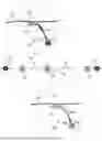 Fig. 01 - MARKER AND METHOD FOR ANALYSING BIOLOGICAL SAMPLES