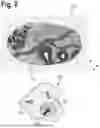 Fig. 09 - MARKER AND METHOD FOR ANALYSING BIOLOGICAL SAMPLES