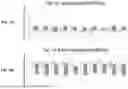 Fig. 04 - MIRNAS, COMPOSITIONS, AND METHODS OF USING THEREOF